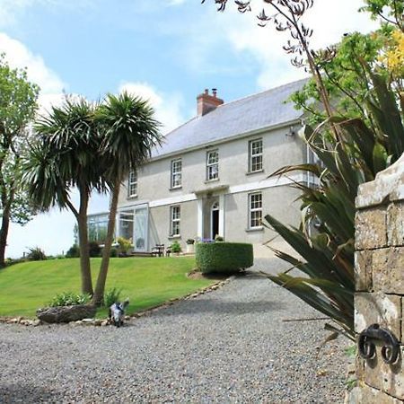 Ty Llwyd Bed and Breakfast Treffynnon Eksteriør billede