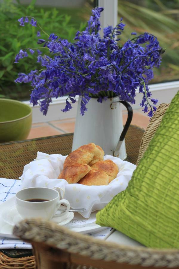 Ty Llwyd Bed and Breakfast Treffynnon Eksteriør billede
