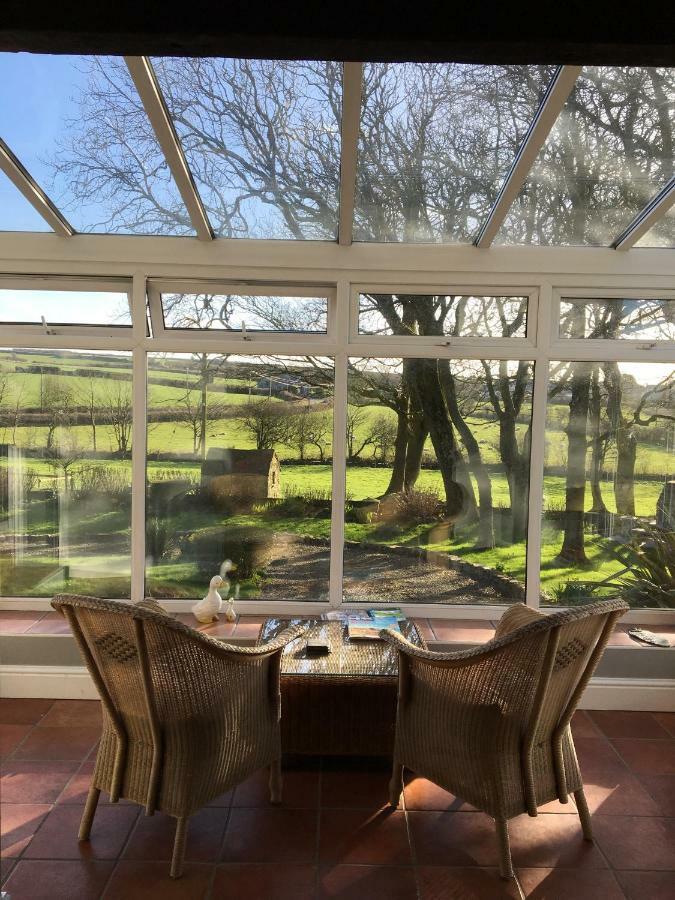 Ty Llwyd Bed and Breakfast Treffynnon Eksteriør billede
